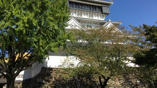 ライトアップもきれいです