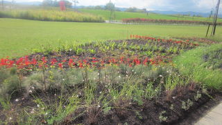 フライングで設置されていた「ユジノサハリンスク市友好都市提携50周年記念ガーデン」の案内板