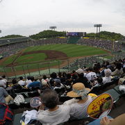 プロ野球観戦