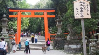 ここからはゆるやかな坂道