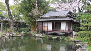 庭園美を鑑賞できる