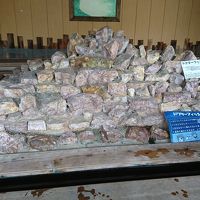 男女浴室の手前にドクターフィッシュ