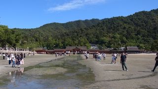 かつては武将の守り神、今は日本を代表するパワースポット