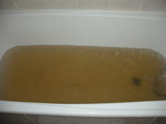 サハリン サッポロ ホテル 写真