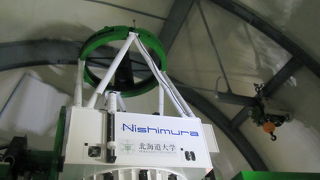 街中のふるさと大使を探せ！