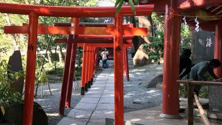 幹を一周してきました