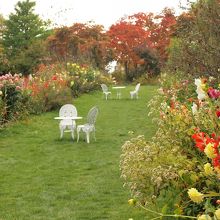 遠目にはとってもきれい！！