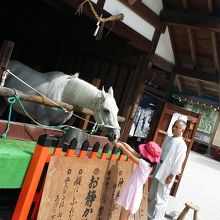 日曜日は参拝道にある小屋に神馬が登場し、えさやりができます。