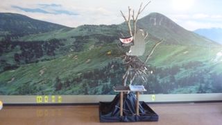 正面に大沼があります