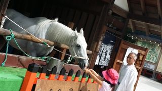 夏の我が家の定番避暑