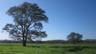 誰もいない朝の風情が素晴らしかったです