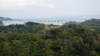 古宇利大橋のビューポイント。