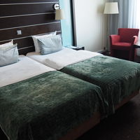 部屋は狭く、エキストラベッドを入れたら荷物を広げるので精一杯