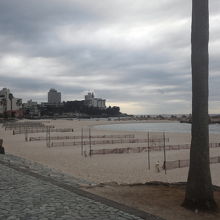 木々は夏の形を保っています