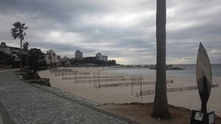 木々は夏の形を保っています