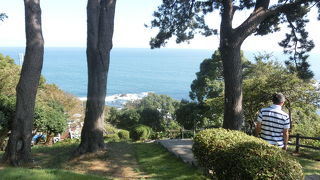 原生林と碧い海、申し分なし