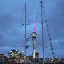 停泊中のヨット越しに｢スカイタワー｣をパチリ。