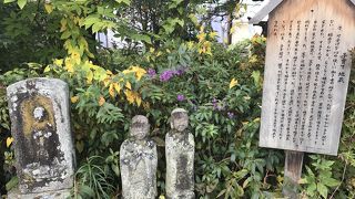 のどかな散歩道