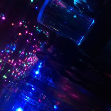 ジェリーフィッシュゾーン