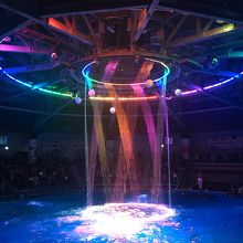 イルカショー夜バージョン