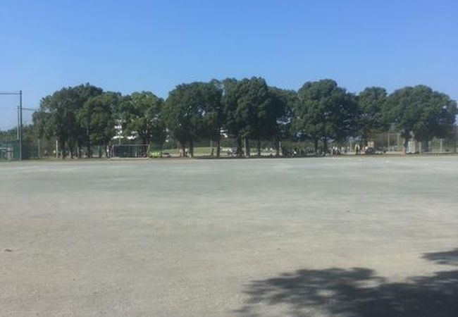 神明台スポーツ施設 クチコミ アクセス 営業時間 戸塚 いずみ野 港南台 フォートラベル