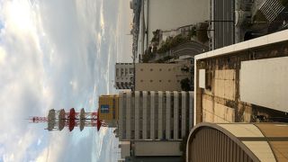 今回は遠くからしっかり眺めていました。