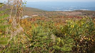 楽しみ方はいろいろ