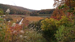 紅葉（赤）がきれい