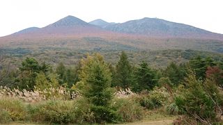 秋は紅葉がとてもきれいです