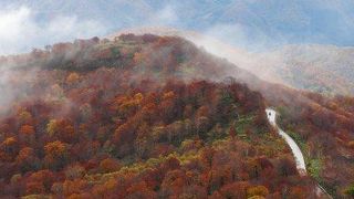 あれ？ここも天空の道？