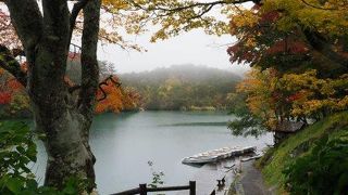 こんなところで道に迷うとは…トホホ