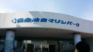 大人でも子供でも楽しめます