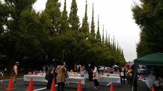 貴重なオアシス