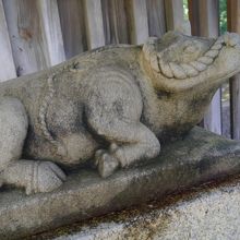 そんな牛のひとつ。