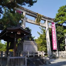 りっぱに立ってます。