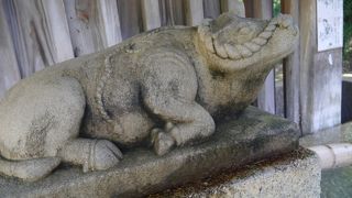 参道の燈籠の数々。