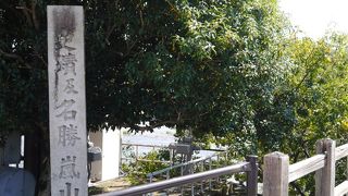 京都の観光地エリアのひとつ。