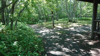 整備されています