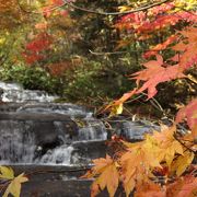 10月中旬、紅葉クライマックス！