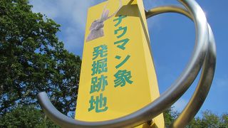 丘陵地の中にちょこんと