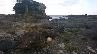  説明を読まないと伝わらない風景