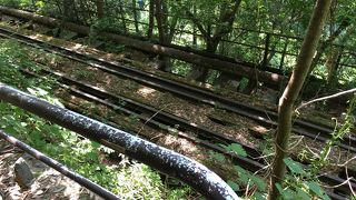 奥多摩エリアの中では歩きやすい