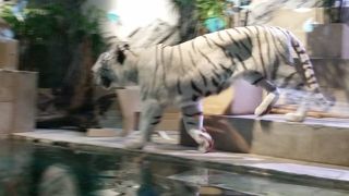 思っていたよりいい