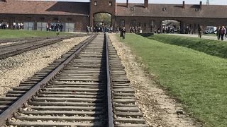 広大なので歩きやすい靴で