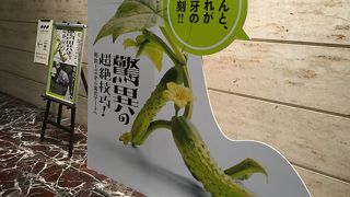 驚異の超絶技巧展＠三井記念美術館