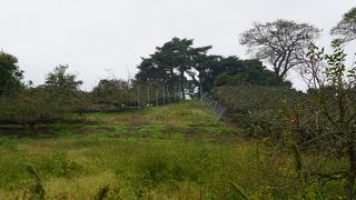 八幡山公園