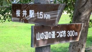 三輪大社のことで三輪山を御神体とする日本最古のお社