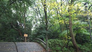 素晴らしい場所