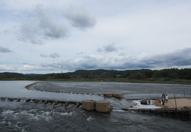 那珂川の簗で鮎つかみ取り