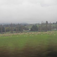 ツアーエリアの地主さんの広大な敷地が見えてきました。